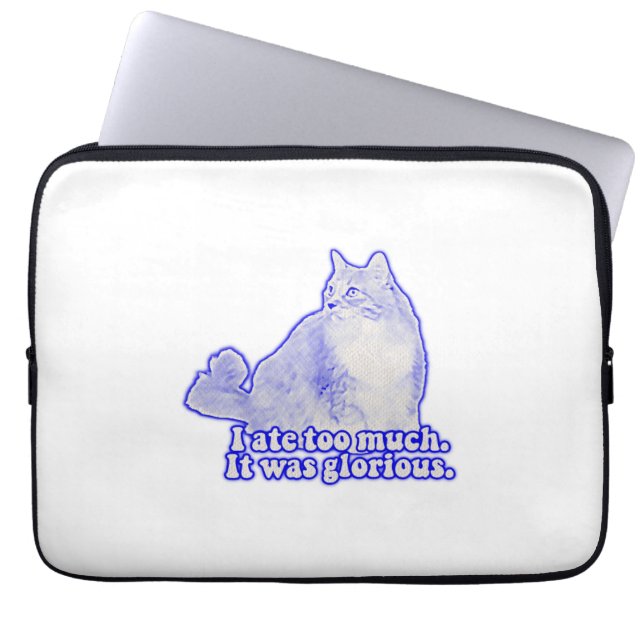 Grumpy cat meme for cat owners and kitten lovers laptop sleeve (Voorkant)