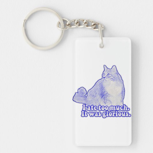 Grumpy cat meme for cat owners and kitten lovers sleutelhanger (Voorkant)
