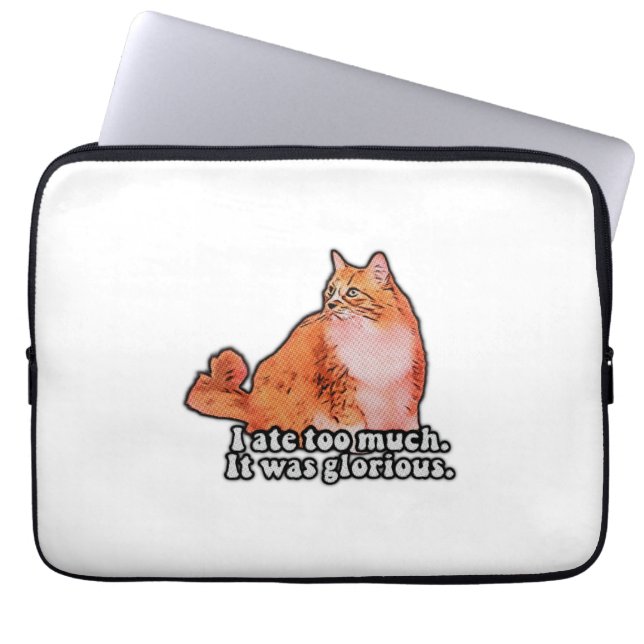 Grumpy cat meme for cat persons and kitten lovers laptop sleeve (Voorkant)