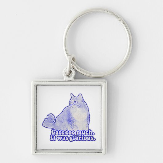 Grumpy cat meme voor katteneigenaren en kattenlief sleutelhanger (Voorkant)