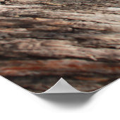 Grumpy Cat™ Meows Poster (Hoek)