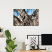 Grumpy Cat™ Meows Poster (Thuiskantoor)