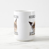 Grumpy Cat™ Mok - "Ik had ooit plezier. Het was vr (Center)