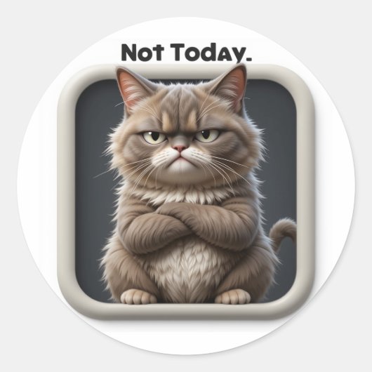 Grumpy Cat "Nee vandaag niet" Knutselsticker – Gra Ronde Sticker (Voorkant)