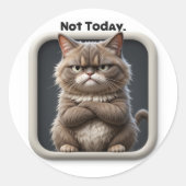 Grumpy Cat "Niet Vandaag" Knutselsticker – Grappig Ronde Sticker (Voorkant)