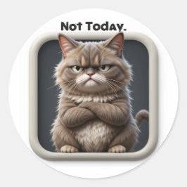 Grumpy Cat "Niet Vandaag" Knutselsticker – Grappig Ronde Sticker