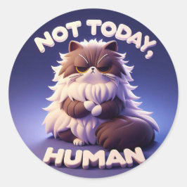 Grumpy Cat "niet vandaag, mens" Craft Sticker