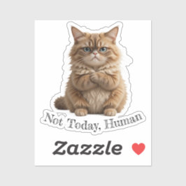 Grumpy Cat "Niet vandaag, Mens" Grappig Pet Meme Sticker