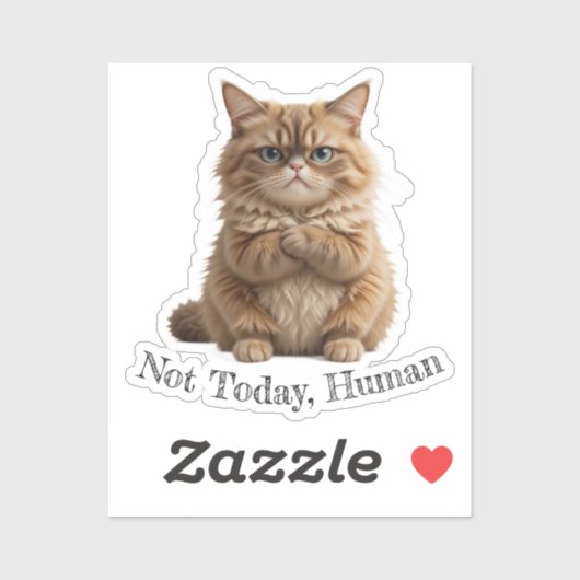 Grumpy Cat "Niet vandaag, Mens" Grappig Pet Meme Sticker (Vel)