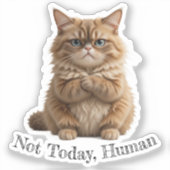 Grumpy Cat "Niet vandaag, Mens" Grappig Pet Meme Sticker (Voorkant)