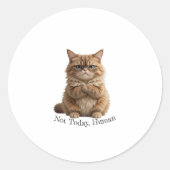 Grumpy Cat "niet vandaag, mens" Sticker Funny Fluf (Voorkant)