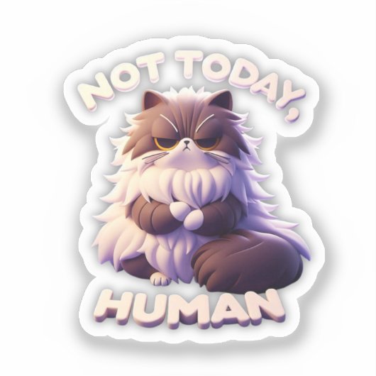 Grumpy Cat "niet vandaag, mens" vinyl Sticker (Voorkant)