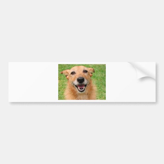 Grumpy Cat overlijden/ Happy Dog Producten Bumpersticker (Voorkant)