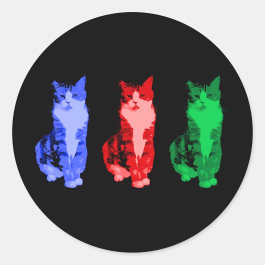 Grumpy Cat Pop Sticker (Voorkant)