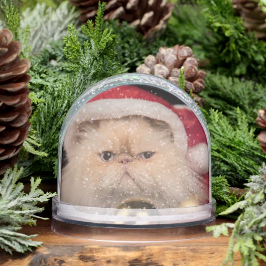 Grumpy Cat Santa Merry Christmas Sneeuwbol (Winter)