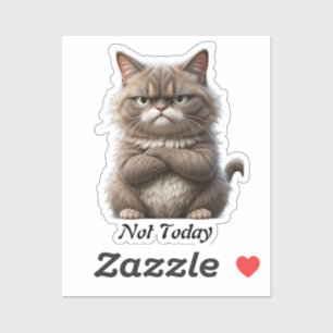 Grumpy Cat Vinyl Sticker – "Not Today" stemmingsst