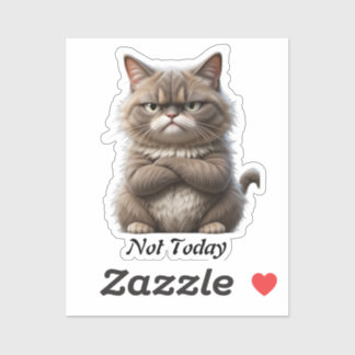 Grumpy Cat Vinyl Sticker – "Not Today" stemmingsst