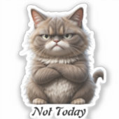 Grumpy Cat Vinyl Sticker – "Not Today" stemmingsst (Voorkant)