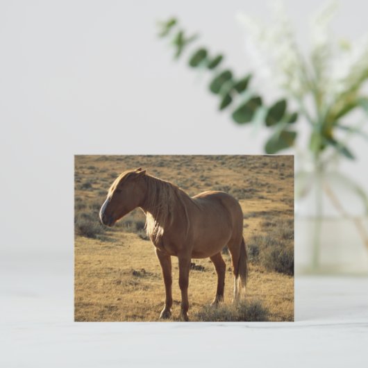 Grumpy Chestnut Briefkaart (Staand voorkant)