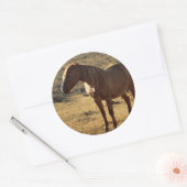 Grumpy Chestnut Ronde Sticker (Envelop)