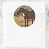 Grumpy Chestnut Ronde Sticker (Tas)
