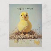 Grumpy Chick in het nest Briefkaart (Voorkant)