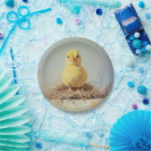 Grumpy Chick in het nest Papieren Bordje (Feest)