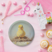 Grumpy Chick in het nest Papieren Bordje (Feest)