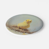 Grumpy Chick in het nest Papieren Bordje (Gekanteld)