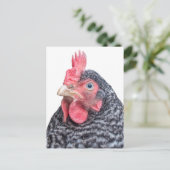 Grumpy Chicken Funny Frowning Hen Photo Briefkaart (Staand voorkant)