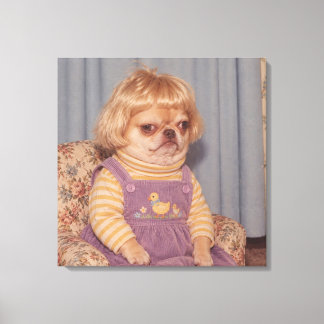Grumpy Chihuahua's Retro Picture Day Portret Canvas Afdruk