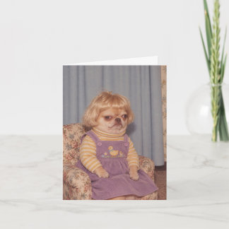 Grumpy Chihuahua's Retro Picture Day Portret Kaart