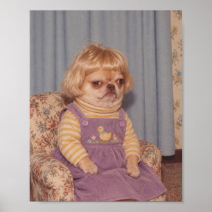 Grumpy Chihuahua's Retro Picture Day Portret Poster