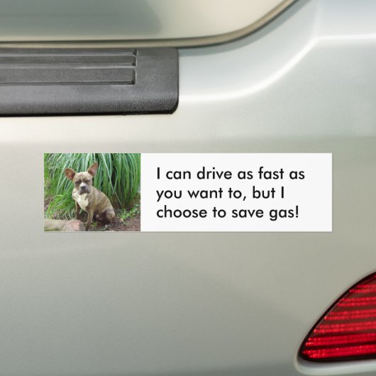 Grumpy dog Save gas Bumpersticker (Op auto)