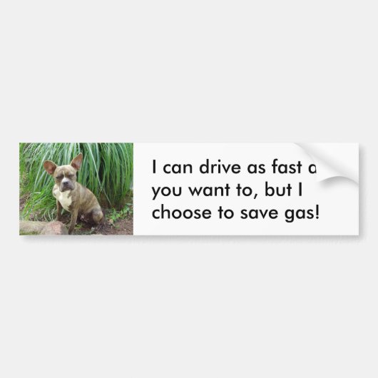 Grumpy dog Save gas Bumpersticker (Voorkant)