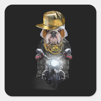 Grumpy English Bulldog draagt Hip Hop Pet Riding Vierkante Sticker