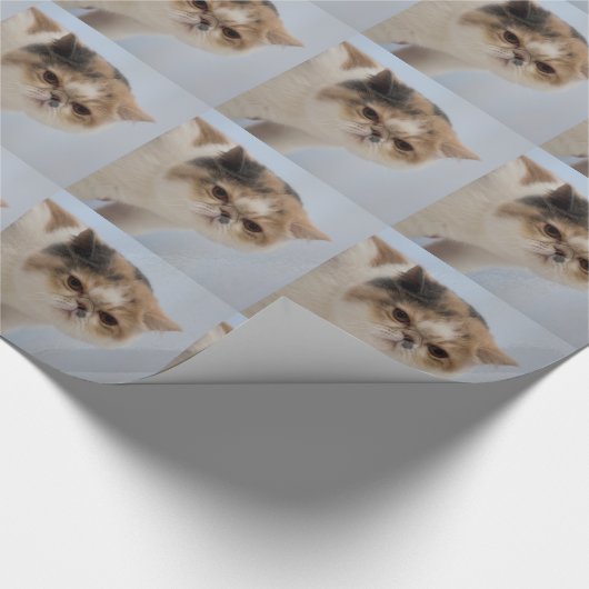 Grumpy Face Cat Cadeaupapier (Hoek)