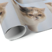 Grumpy Face Cat Cadeaupapier (Rol Hoek)
