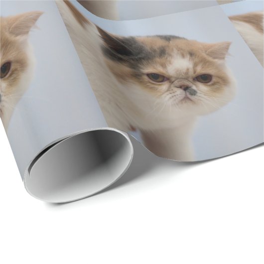 Grumpy Face Cat Cadeaupapier (Rol Hoek)