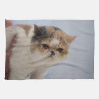 Grumpy Face Cat Theedoek