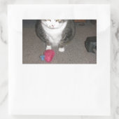 Grumpy Fat Cat is niet amused Rechthoekige Sticker (Tas)