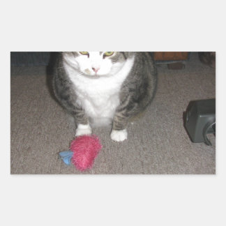 Grumpy Fat Cat is niet amused Rechthoekige Sticker