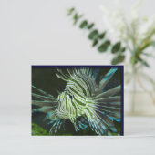 Grumpy Fish Briefkaart (Staand voorkant)