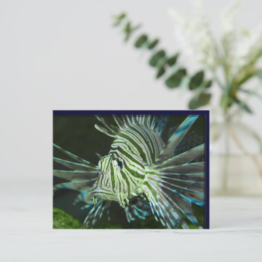 Grumpy Fish Briefkaart (Staand voorkant)