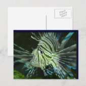 Grumpy Fish Briefkaart (Voorkant / Achterkant)