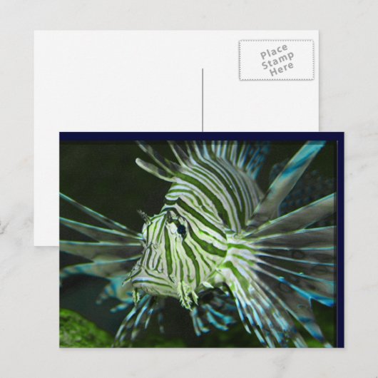 Grumpy Fish Briefkaart (Voorkant / Achterkant)