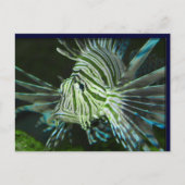 Grumpy Fish Briefkaart (Voorkant)