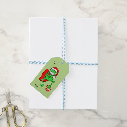 Grumpy Funny Christmas kikker Cadeaulabel (Met Touw)