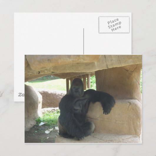 Grumpy Gorilla Briefkaart (Voorkant / Achterkant)