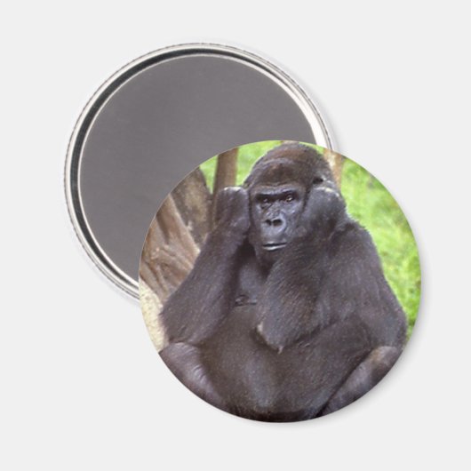 Grumpy Gorilla Magneet (Voorkant / Achterkant)